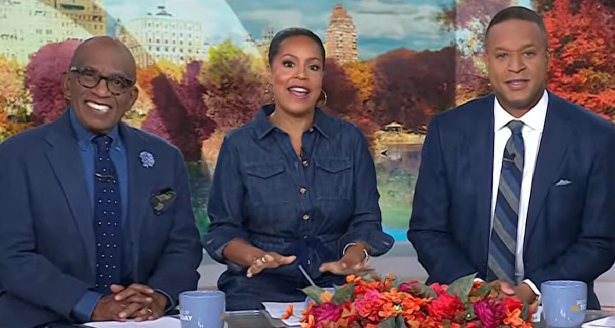 Sheinelle Jones d&rsquo;aujourd&rsquo;hui dénonce sa co-star lors d&rsquo;une émission en direct pour « ne pas avoir écouté »