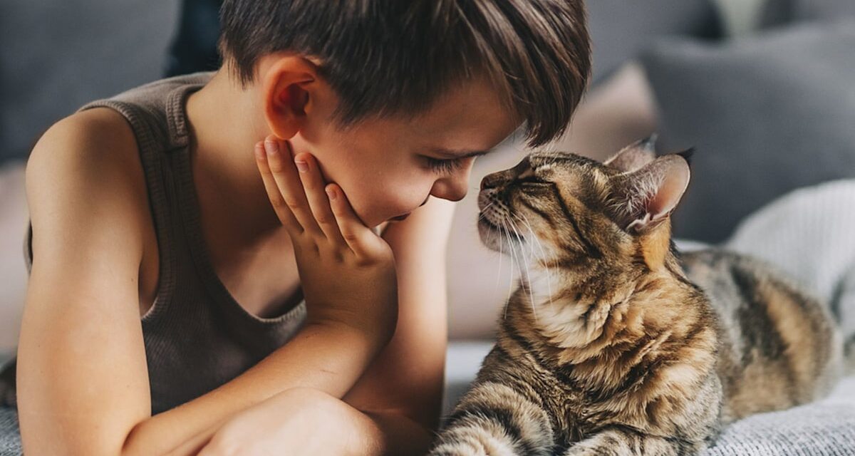 8 races de chats adaptées aux enfants qui s&rsquo;installeront facilement dans les foyers occupés