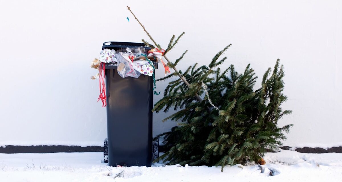 Des échanges simples et durables pour un Noël sans gaspillage