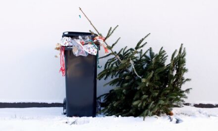 Des échanges simples et durables pour un Noël sans gaspillage