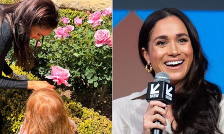 La princesse Lilibet, 4 ans, arbore des cheveux ardents de Raiponce sur de nouvelles photos avec le prince Archie – regardez