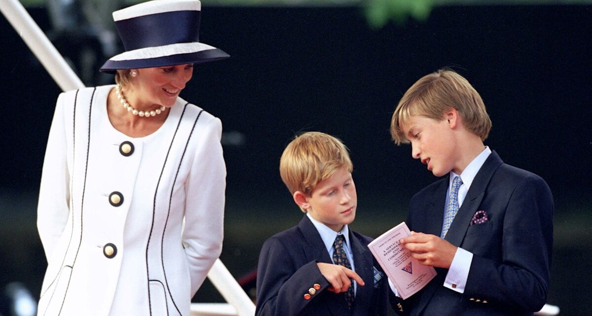 Prince William et Prince Harry : des chemins différents, mais en gardant vivant l&rsquo;héritage de maman Diana