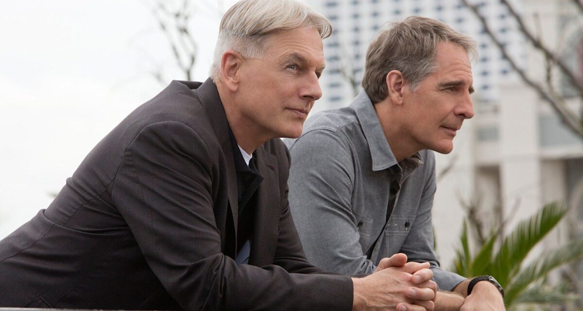 L&rsquo;ancien olympien rejoint la franchise NCIS alors qu&rsquo;il reprend le rôle de son personnage bien-aimé