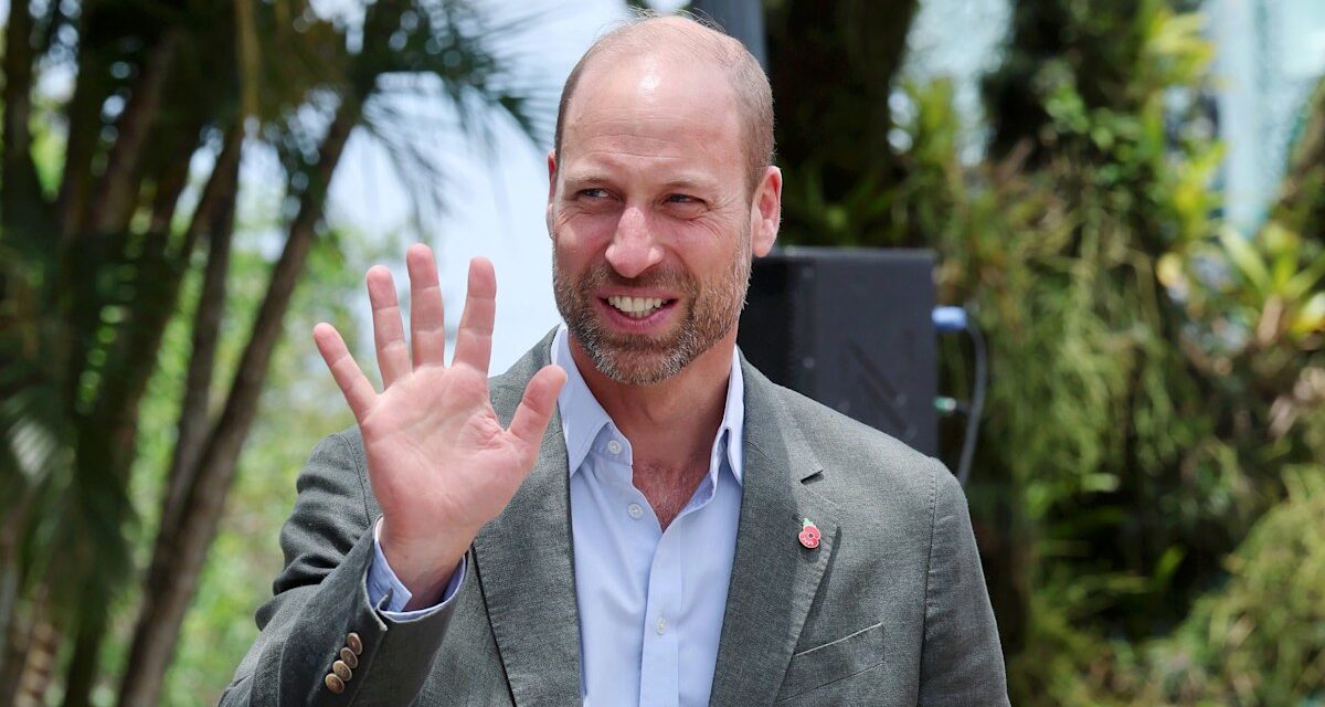 L&rsquo;aventure écologique du prince William au Brésil – meilleures photos royales