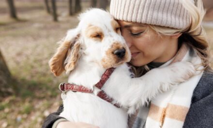 Est-il normal d&rsquo;aimer mon chien plus que les gens ? La science expliquée
