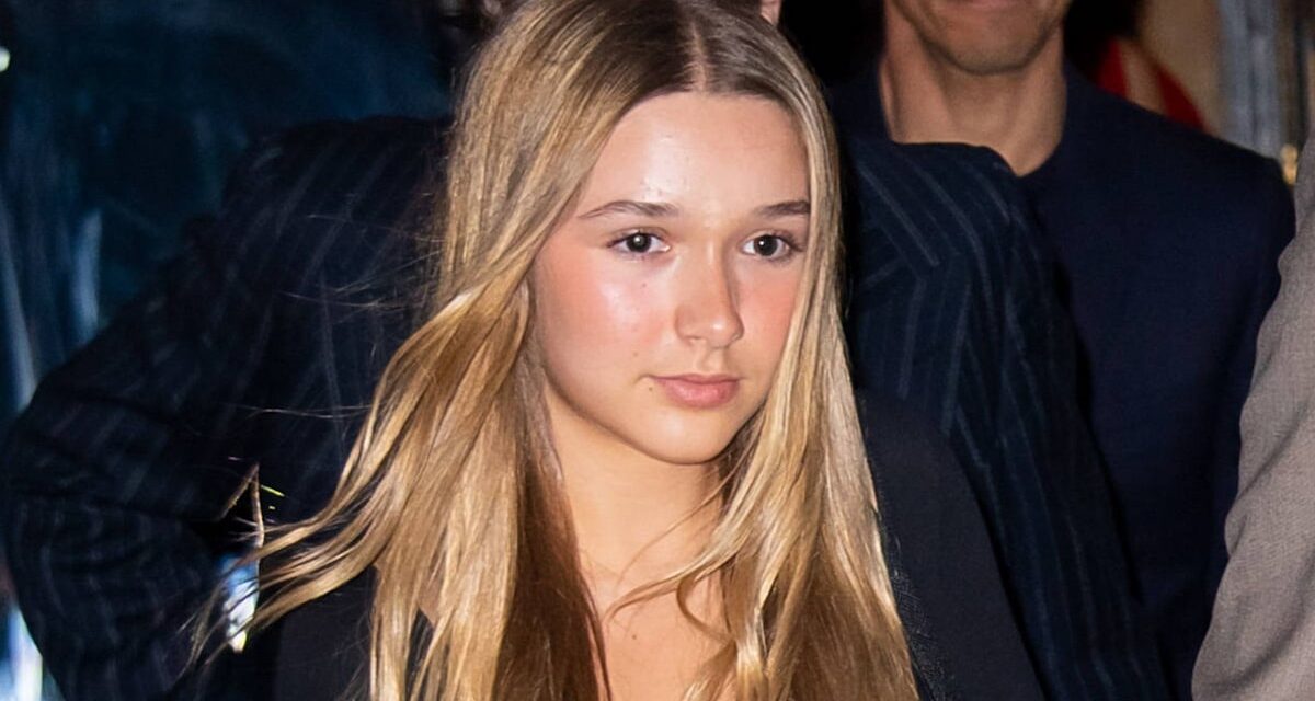 Le costume d&rsquo;Halloween de Harper Beckham est la définition du chic