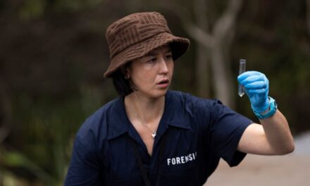 Les fans de drames policiers apprécieront cette série Amazon Prime dirigée par des femmes avec Luke Hemsworth