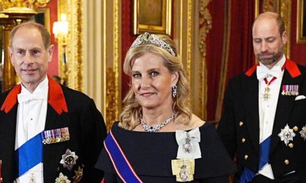 La duchesse Sophie se pavane avec des plates-formes scintillantes et un diadème d&rsquo;un million de livres sterling lors d&rsquo;un banquet d&rsquo;État