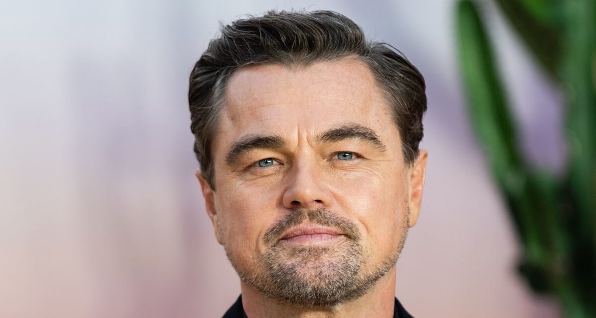 Leonardo DiCaprio explique pourquoi il se cache le visage en public