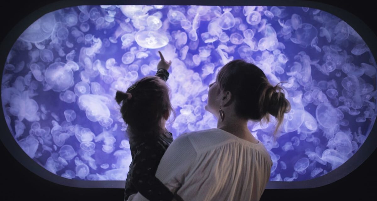 Oubliez la parentalité tigre – la parentalité méduse est l’approche « indulgente » pour élever la prochaine génération