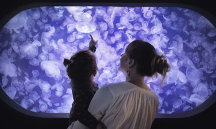 Oubliez la parentalité tigre – la parentalité méduse est l’approche « indulgente » pour élever la prochaine génération