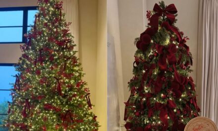 Les arbres de Noël des célébrités préférés de BONJOUR pour la saison 2025