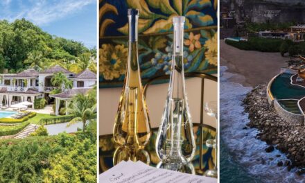 À l&rsquo;intérieur du sac cadeau des Golden Globes d&rsquo;un million de dollars, comprenant six nuits en Nouvelle-Zélande et la marque de soins de la peau de Brad Pitt