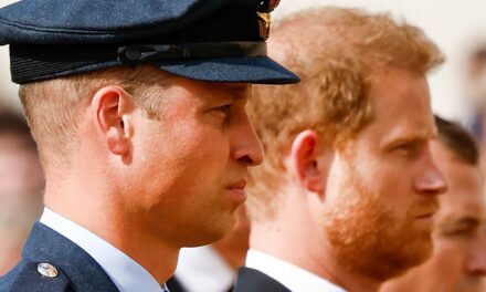 La séparation entre le prince William et le prince Harry atteindra un « point d&rsquo;éclair » en 2026, prévient l&rsquo;astrologue