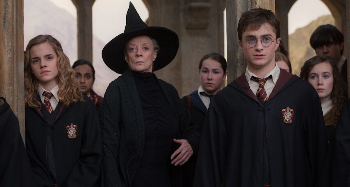 La star d&rsquo;Harry Potter révèle qu&rsquo;il a initialement refusé son rôle emblématique