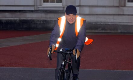David Armstrong-Jones est arrivé au déjeuner de Noël du roi Charles sur son vélo – voir photos