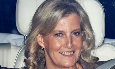 La duchesse Sophie évoque la « croissance » avec une robe aux couleurs d&rsquo;un sapin de Noël