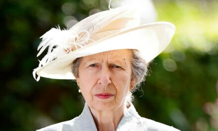 La princesse Anne n&rsquo;est pas la royale la plus travailleuse de 2025 – voici qui l&rsquo;a battue