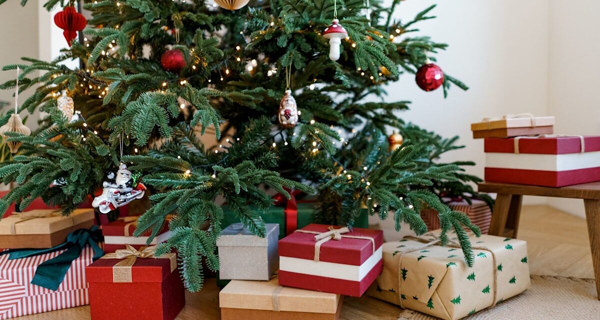 6 façons soutenues par des experts de faire durer votre sapin de Noël plus longtemps
