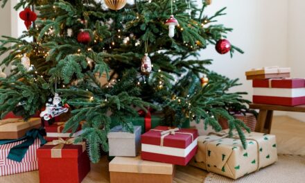 6 façons soutenues par des experts de faire durer votre sapin de Noël plus longtemps