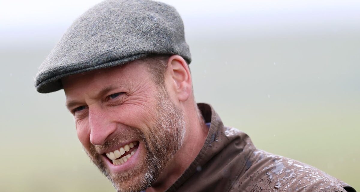 Le prince William obtient le feu vert sur d’ambitieux projets immobiliers dans le Somerset