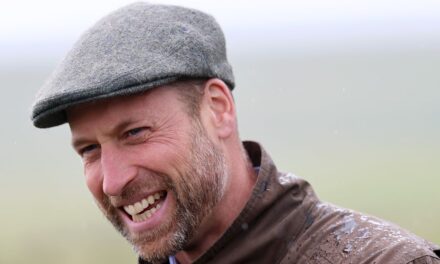 Le prince William suscite une réaction en trois mots de la part d&rsquo;un promeneur de chien embobiné – vidéo