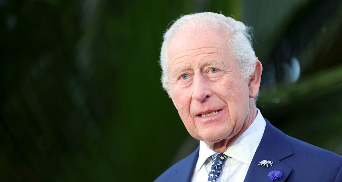 Le roi Charles prépare un projet de loi sur la « taxe sur les propriétés » dans ses maisons privées