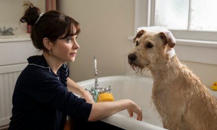 Une comédie romantique légère saluée comme un « délice absolu » est la montre de vacances parfaite