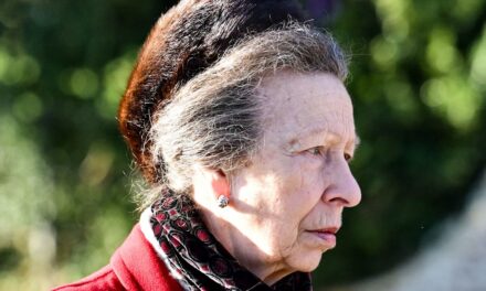 La princesse Anne brille dans des bottes à franges après la démonstration de « l&rsquo;unité » à Noël royal