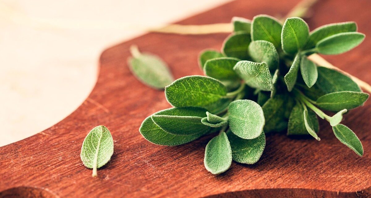 L&rsquo;herbe de cuisine courante qui aide à soulager les symptômes de la ménopause et le brouillard cérébral