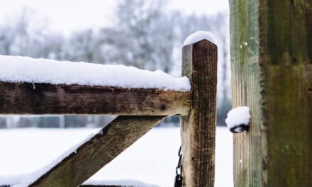 Des endroits idylliques au Royaume-Uni pour voir de la neige ce Noël, y compris la « Ville du chocolat »