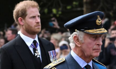 Le roi Charles ferme la porte aux retrouvailles du prince Harry : « Il n&rsquo;y aura pas de détour »