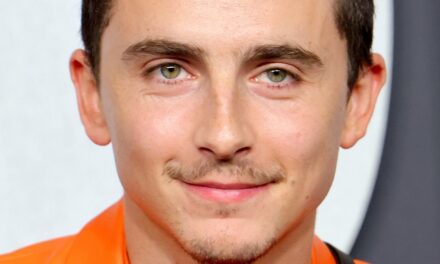 Timothée Chalamet est-il EsDeeKid ? Et d&rsquo;autres alter ego de célébrités