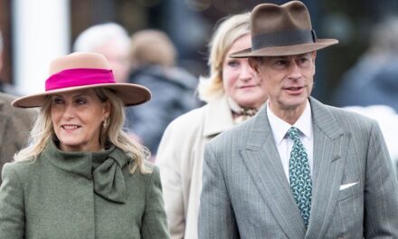 L&rsquo;année « ardemment » chargée du prince Edward et de la duchesse Sophie qui les a séparés