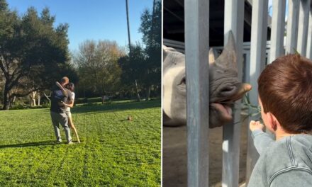 Le prince Archie aux cheveux roux a filmé en train de nourrir un bébé rhinocéros dans de rares images de vacances