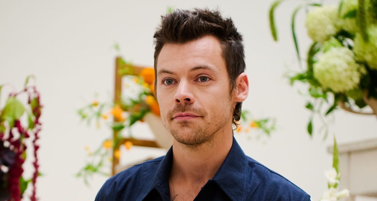 La valeur nette stupéfiante de Harry Styles – dont quatre propriétés dans une seule rue de Londres