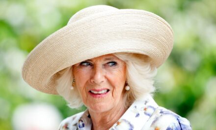 Des maisons pré-royales ! Kate Middleton, la duchesse Sophie et d&rsquo;autres maisons modestes avant le mariage