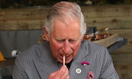 Les « instructions » bizarres du petit-déjeuner du roi Charles qui ont dérouté le chef royal