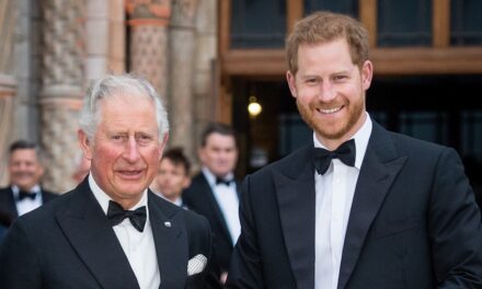 Le prince Harry fait une apparition inattendue aux côtés du roi Charles dans un nouveau documentaire