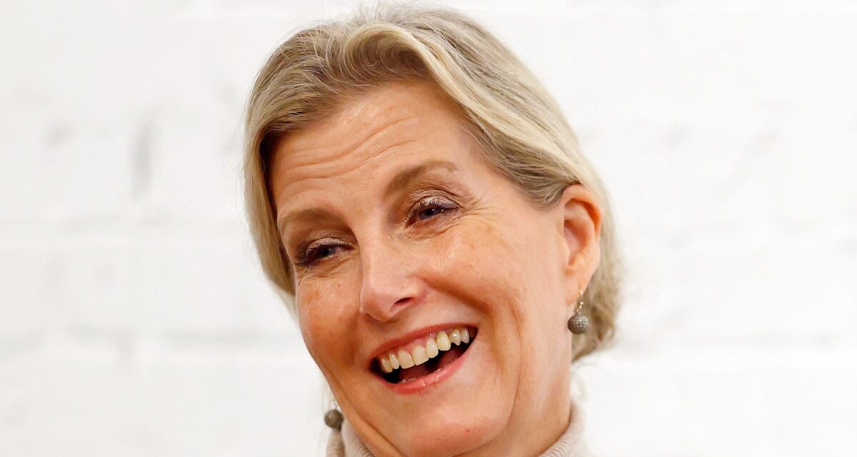 Famille royale EN DIRECT : la duchesse Sophie se rend en Angleterre Le hockey et la famille royale néerlandaise organisent la réception du Nouvel An