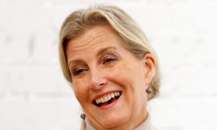 Famille royale EN DIRECT : la duchesse Sophie se rend en Angleterre Le hockey et la famille royale néerlandaise organisent la réception du Nouvel An