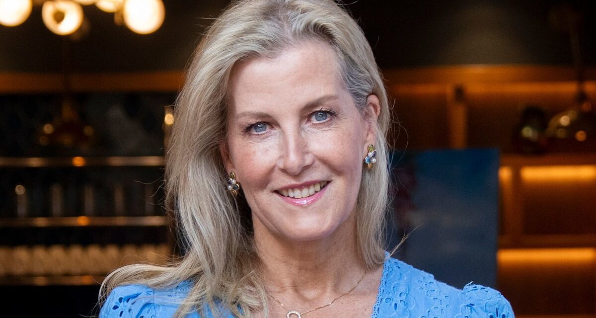 La duchesse Sophie porte une robe transparente « ludique » pour une occasion spéciale