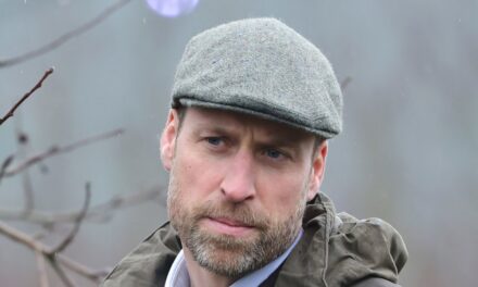 Le prince William « interdit » de conduire un scooter électrique en raison de sa résidence permanente avec Kate Middleton