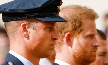Pourquoi le prince Harry ne retrouvera pas le prince William et Kate Middleton à son retour au Royaume-Uni