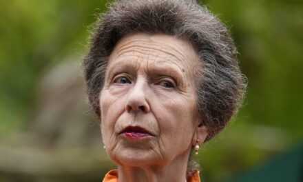 Le prêt secret de la princesse Anne pour rénover Gatcombe Park pour la vie de famille