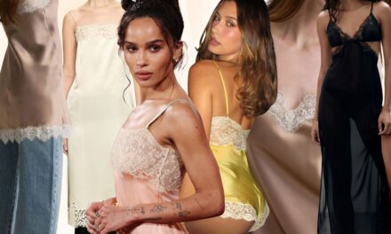 Comment porter des négligés en dentelle comme Zoë Kravtiz, Hailey Bieber et Devon Lee Carlson pour la Saint-Valentin