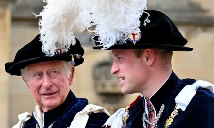 Le prince William exhorte le roi Charles à apporter des changements majeurs dans toutes les demeures royales