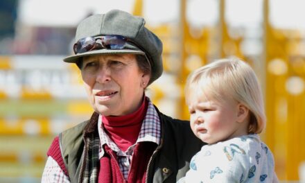 La princesse Anne capturée lors de rares moments de repos chez elle dans le Gloucestershire