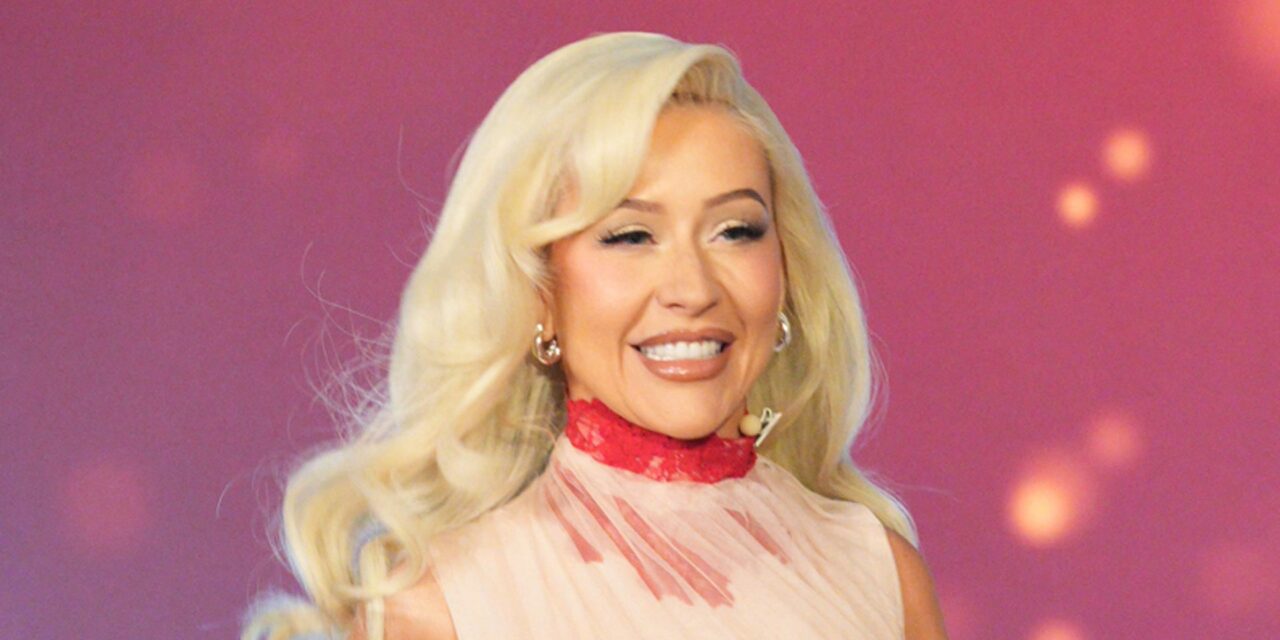 Christina Aguilera présente l&rsquo;adorable nouveau membre de la famille : « Surprise »