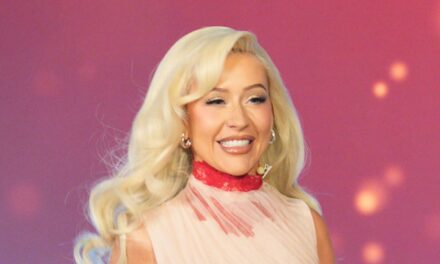 Christina Aguilera présente l&rsquo;adorable nouveau membre de la famille : « Surprise »